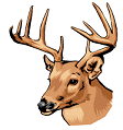 Trophy Deer Hunting with BKK Enterprises