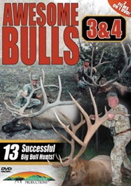 Awesome Bulls 3 & 4