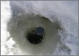 Ice Quiver