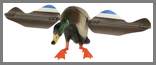 05.a Lucky Duck Drake