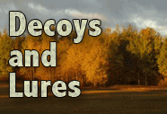 Decoys and Lures