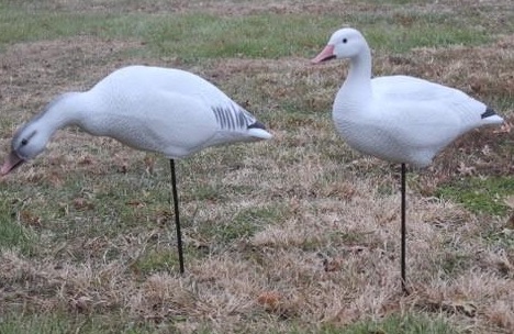 Bigfoot Snow Goose On Motion Stakes - 6pk - 124869