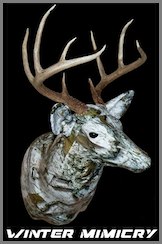 CamoBuck Winter Mimicry