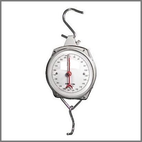 Mechanical Hanging Scale